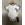 Body bebé Real Madrid - Imagen 1