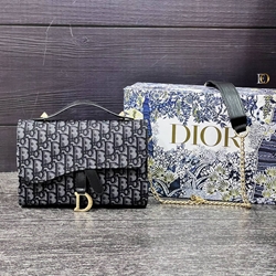 Bolso Dior saddle pouch - Imagen 1
