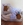 Bota Converse Capibara - Imagen 1