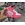Bota Nike Barbie - Imagen 1