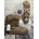 Botas clásicas UGG - Imagen 1