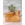 Botas UGG Camel - Imagen 1