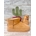 Botas UGG Camel - Imagen 1