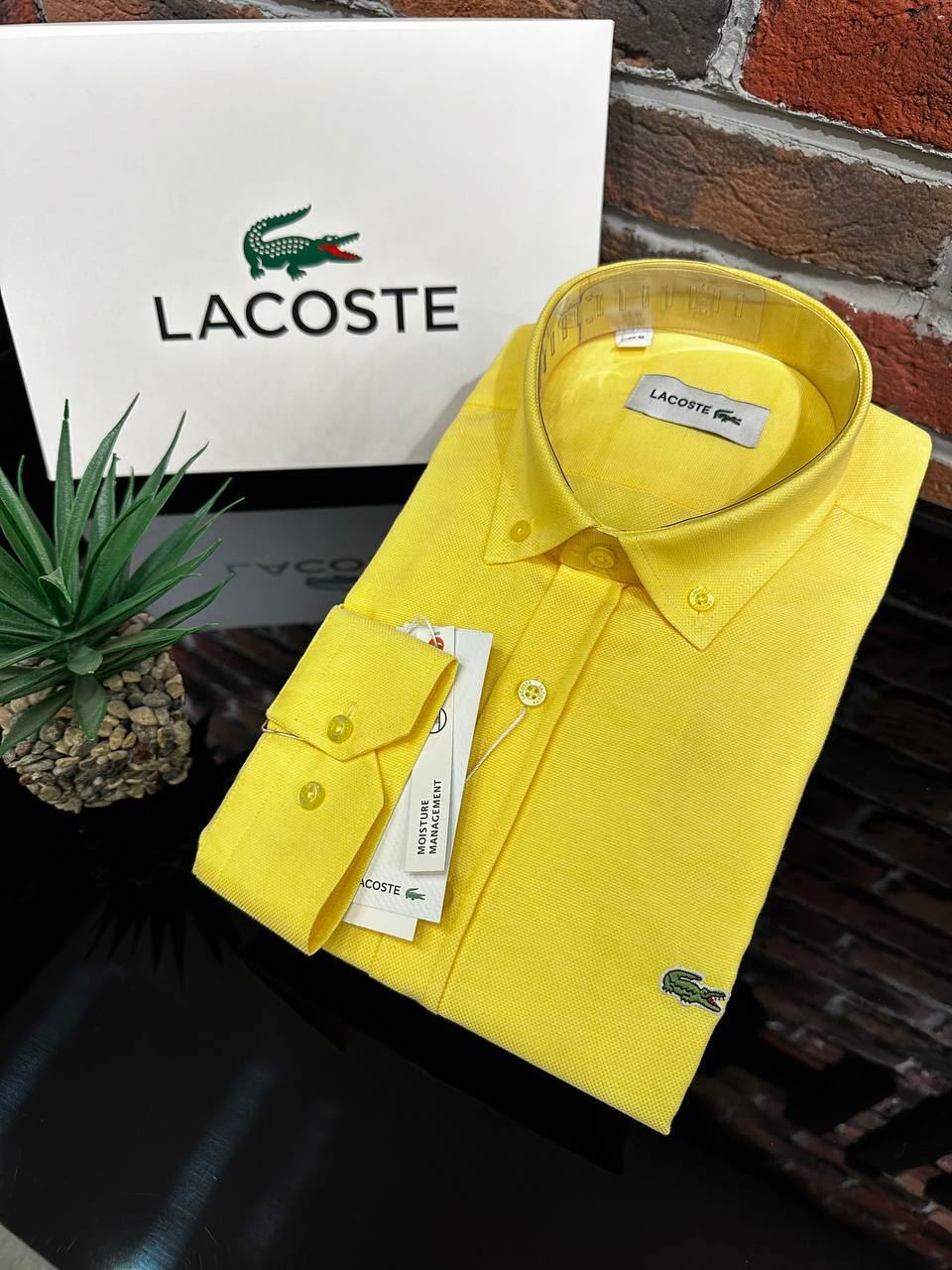 Camisa de hombre Lacoste - Imagen 2