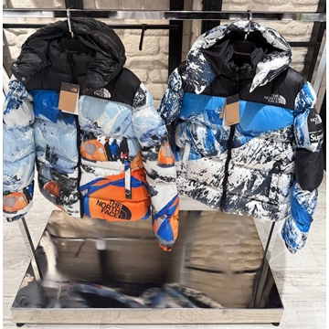 Cazadora de plumas North Face - Imagen 1