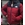 Cazadora North Face de mujer - Imagen 1