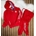 Chándal Moncler - Imagen 2