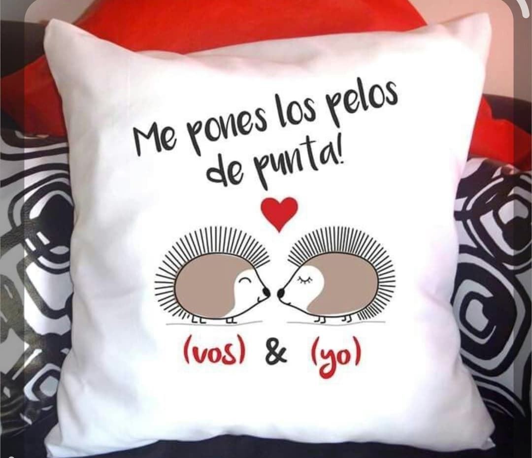 Cojín personalizado san Valentín erizo - Imagen 1