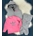 Conjunto de bebé Adidas 3 piezas - Imagen 2