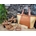 Conjunto de sandalias y bolso de verano Tous - Imagen 1