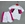 Conjunto Lacoste primavera - Imagen 1