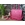 Conjunto sandalias Tous y bolso a juego - Imagen 1