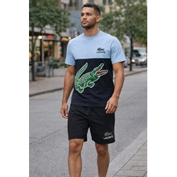 Conjunto verano camiseta y pantalón corto Lacoste - Imagen 1