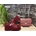Conjunto zuecos de verano y bolso Guess - Imagen 1