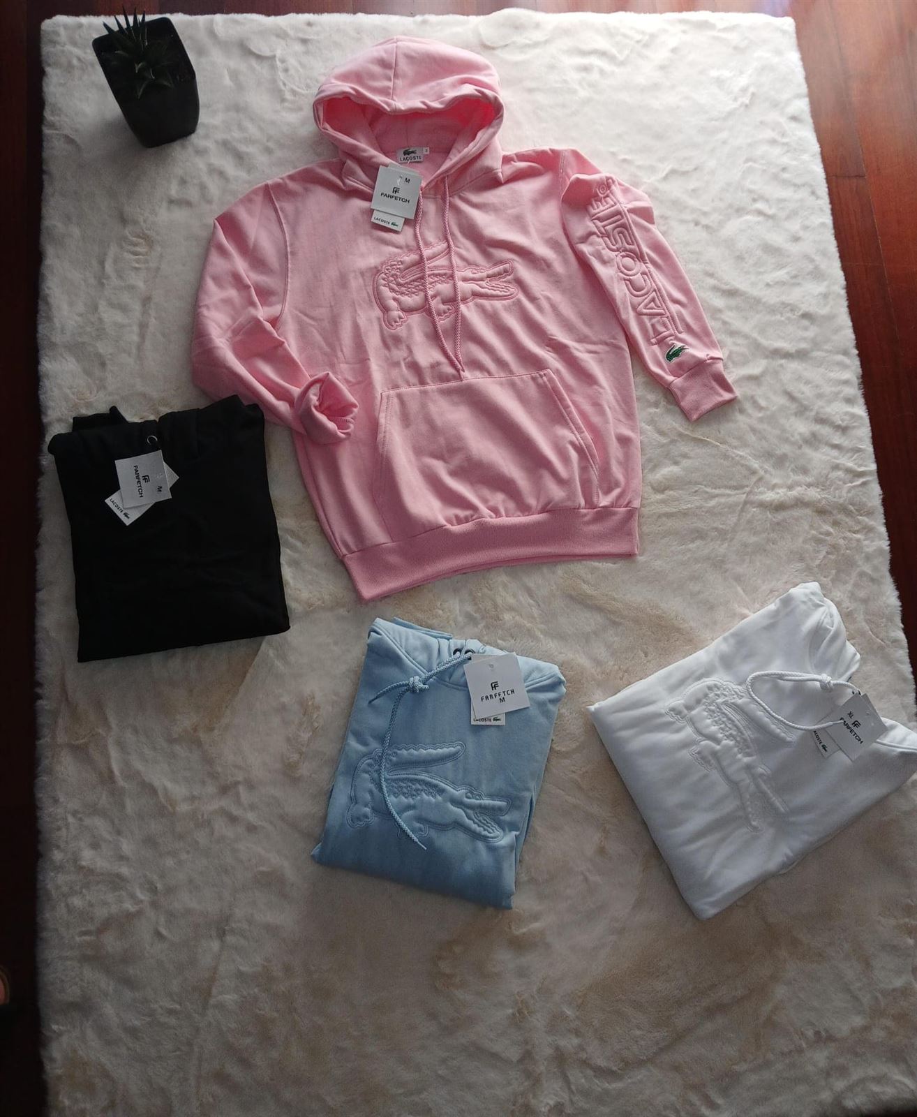 Sudadera Lacoste relieve - Imagen 1