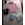 Sudadera Lacoste relieve - Imagen 1