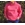 Sudadera Nike bordada - Imagen 1