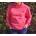 Sudadera Nike bordada - Imagen 1