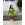 Vestido tirantes Karl Lagerfeld - Imagen 1