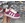Zapatillas Adidas campus bebé - Imagen 2