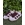 Zapatillas Adidas Campus - Imagen 2