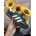 Zapatillas Adidas samba - Imagen 1