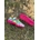Zapatillas de futbol Nike - Imagen 1