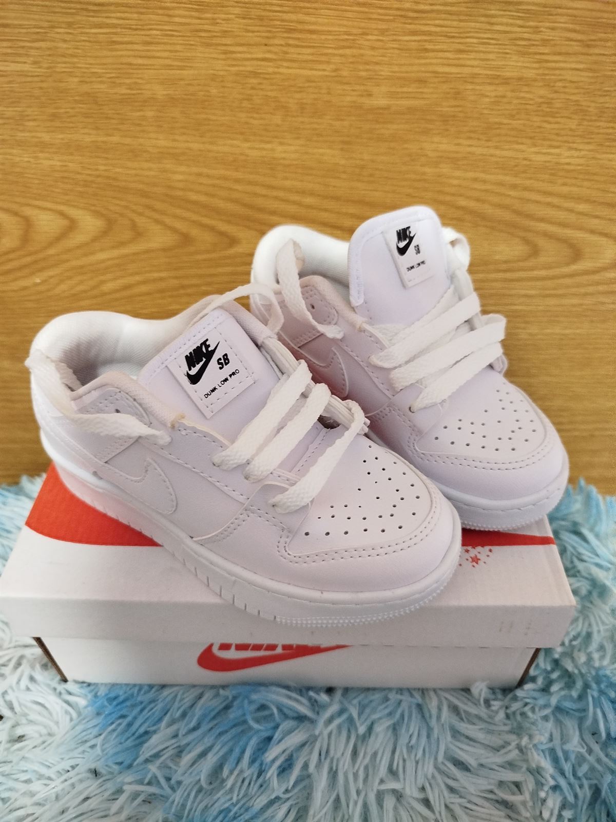 Zapatillas Nike Low SB - Imagen 1