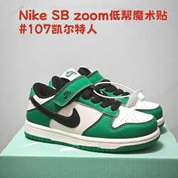 Zapatillas Nike SB zoom - Imagen 1