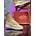 Zapatillas Vans - Imagen 1